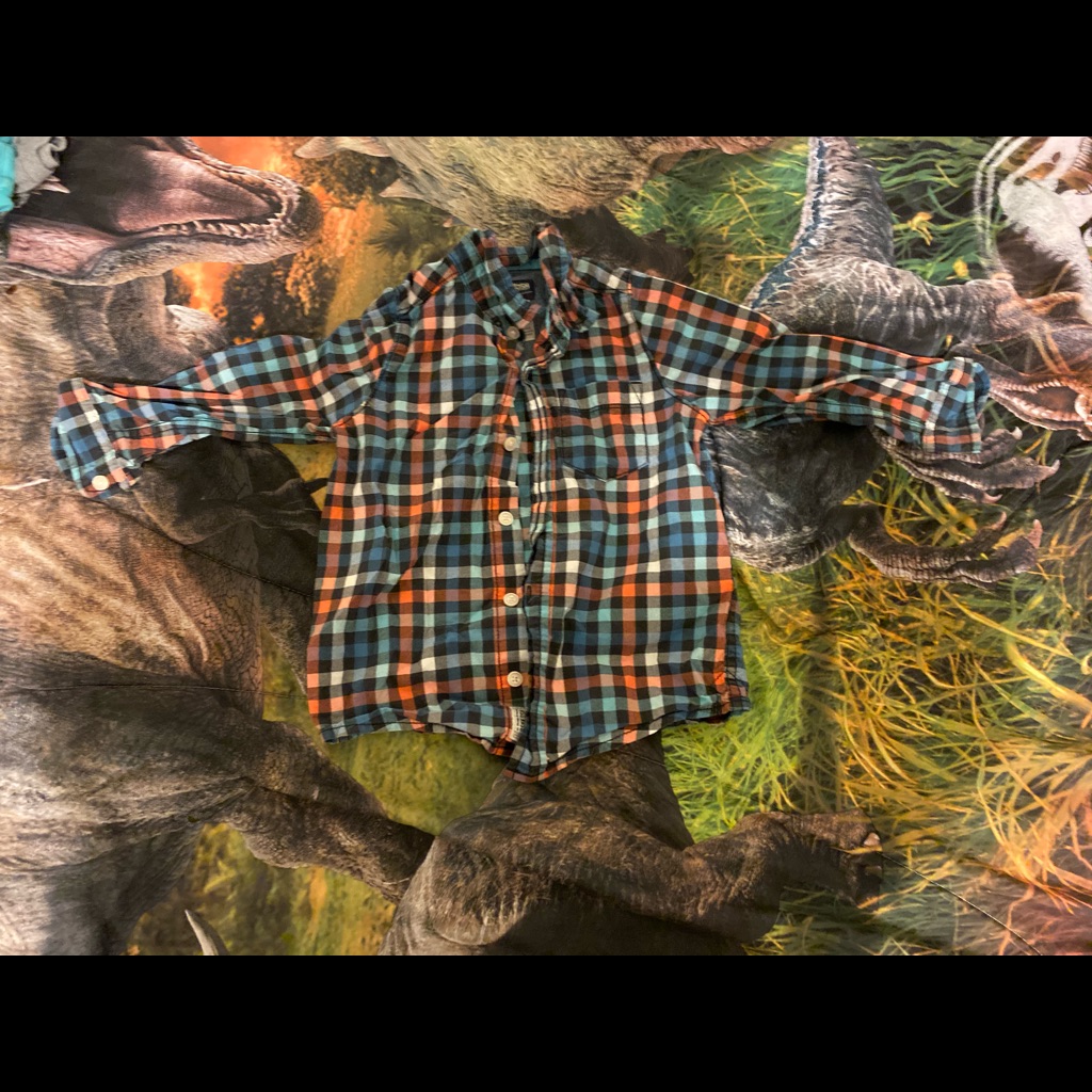 Multicolored Button Up